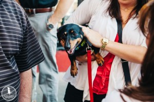 Manayunk dogs events
