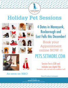 philly pet sessions
