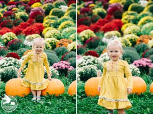 best fall family photos Philly