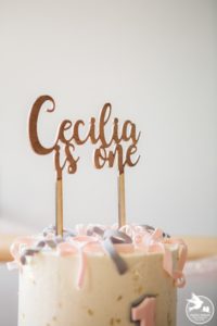 first birthday philadelphia inspiration