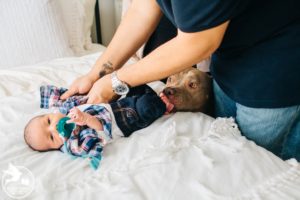best roxborough baby photos