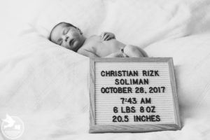roxborough in home newborn photos