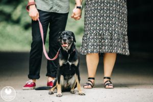wissahickon engagement photography