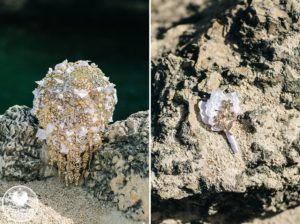 destination wedding photos