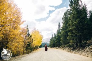 denver aspens maternity photos