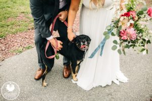 weddings with dogs