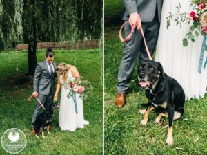 wedding photographer dog friendly pa