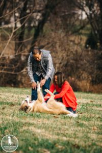 best philadelphia pet photographer