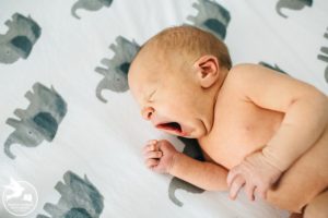 manayunk newborn photos