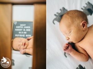 manayunk newborn photography