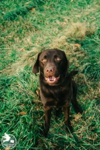 philadelphia family photos