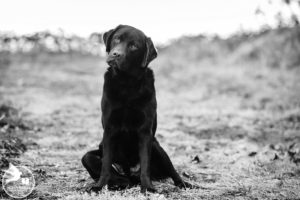 best philadelphia family photos