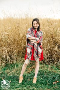 family photos with dogs