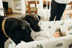 lifestyle newborn photos philly