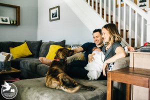 dog newborn session photos
