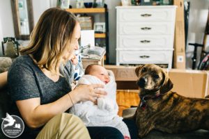 dogs and newborns