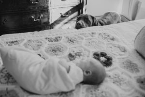best philadelphia in home newborn photographer
