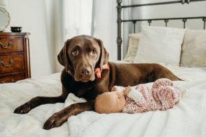 newborn with dog photographer philly