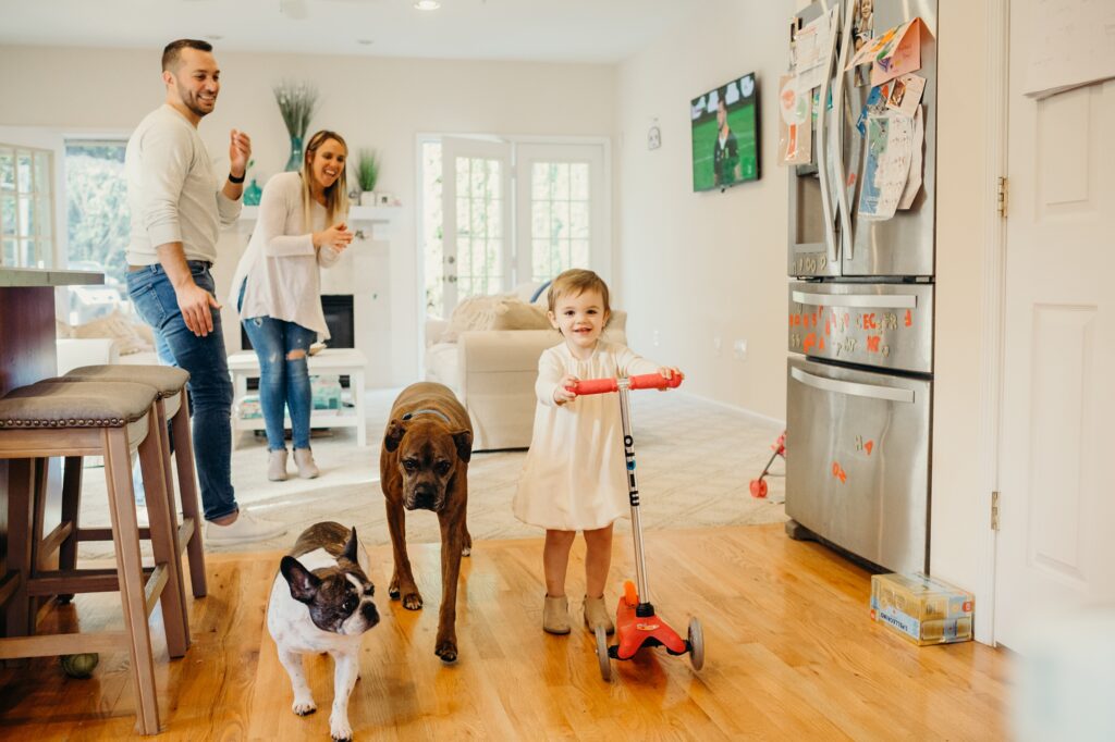 Lifestyle family photograph of a little girl riding her scooter through a house with her two pet dogs, a boxer and french bulldog running next to her while the parents smile and laugh in the back.