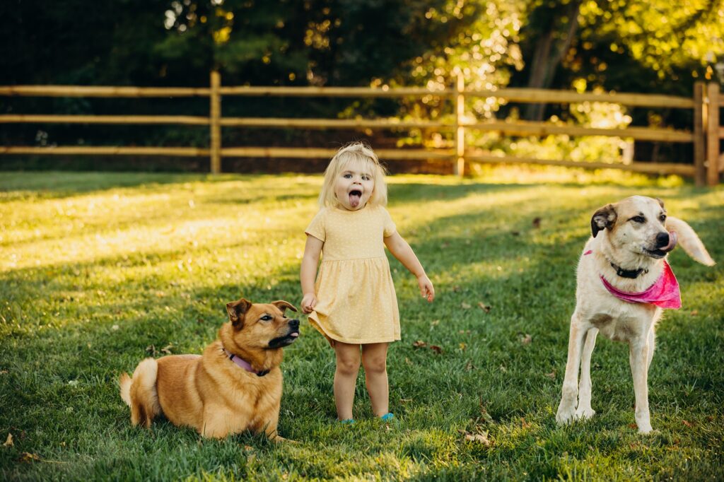 a toddler and 2 dogs all stick their tongues out on a bight sunny summer day.
