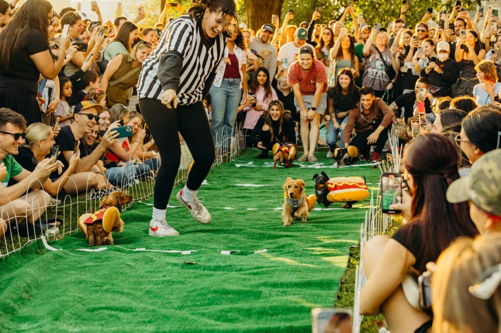 a crowd is gathered around a green racing track. 4 wiener dogs wearing hot dog costumes are racing on the track, as a woman in a referee shirt is watching and encouraging them. 