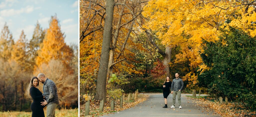 A couple in beautiful fall foliage. The women is pregnant, and her husband is holding her belly as they walk through Mt. Airy, Pa. 