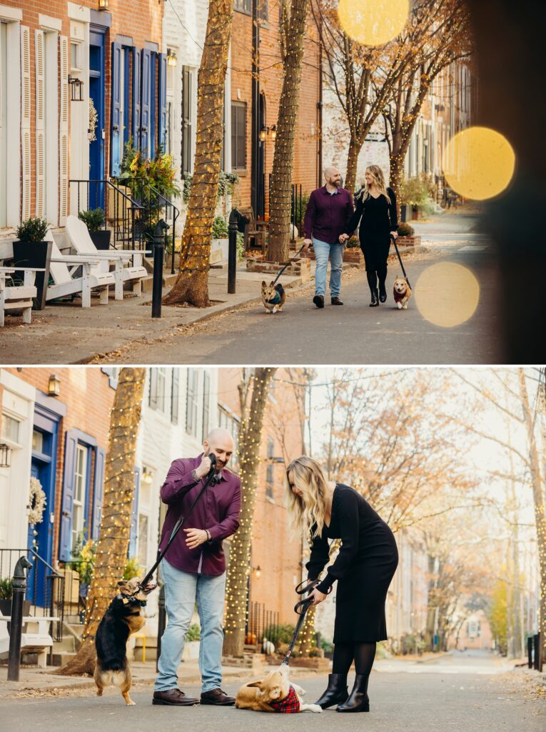 A couple struggling to get their 2 corgis to cooperate enough for their pet photoshoot in Old City Philadelphia