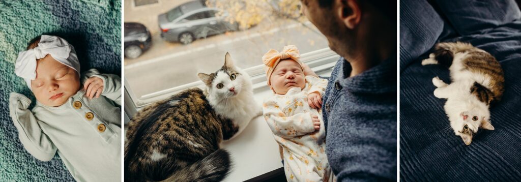 A newborn girl being held up in front of a window that her cat is perched on. The photo is from her newborn shoot in Philly in the family's home. 