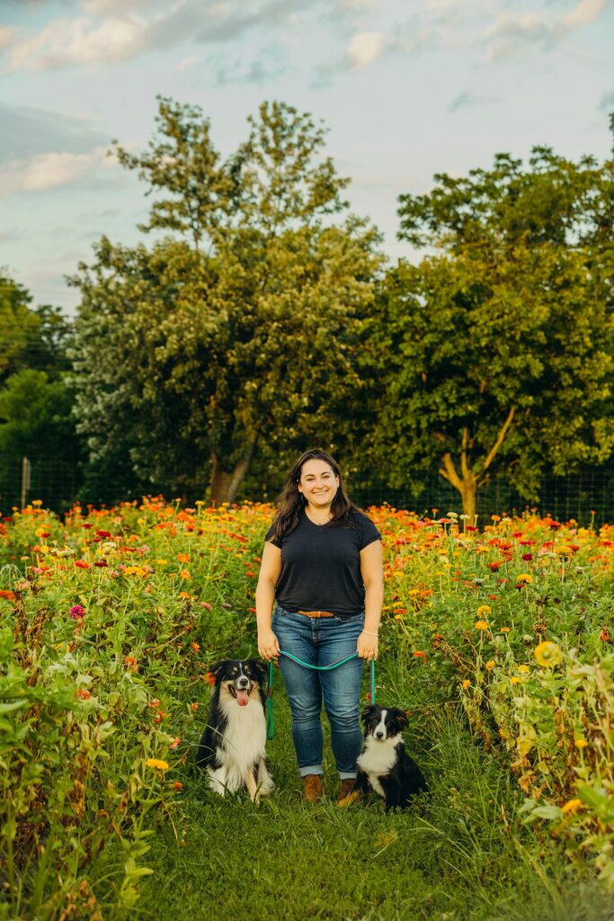 a woman standing in a flower field on Maple Acres Farm with her 2 mini australian shepherd dogs for their summer photoshoot. 