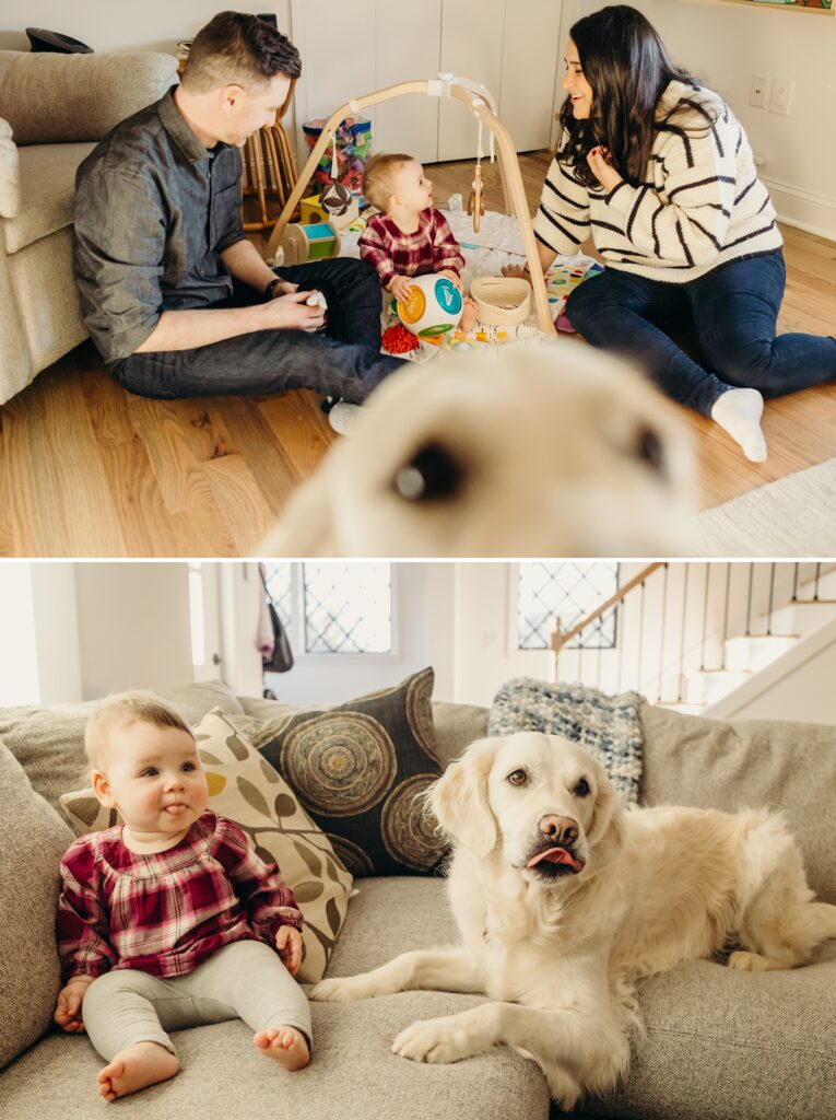 At-home family photos in Wayne, PA featuring a baby girl and a dog