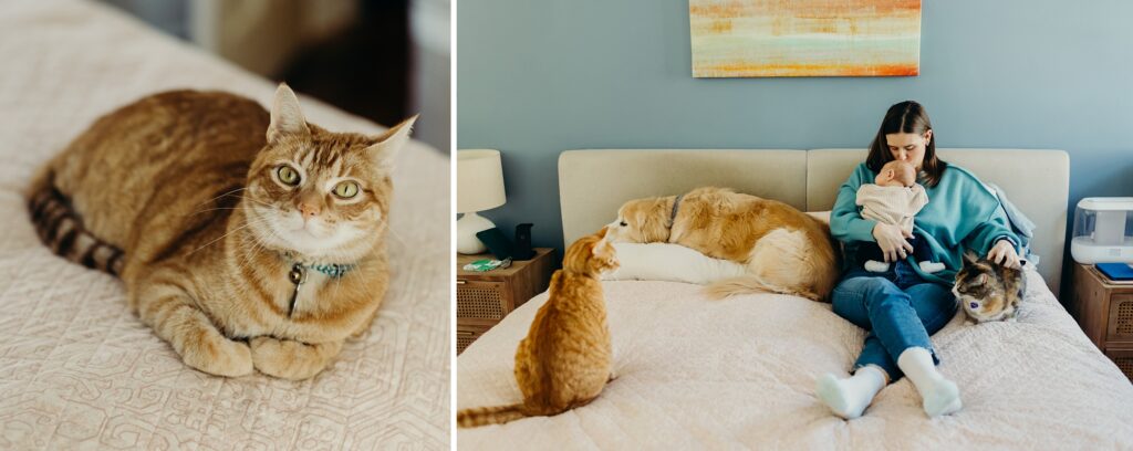 a Philadelphia mother kissing her newborn baby while her dog and two cats lay near her on the bed during a lifestyle newborn session with pets.