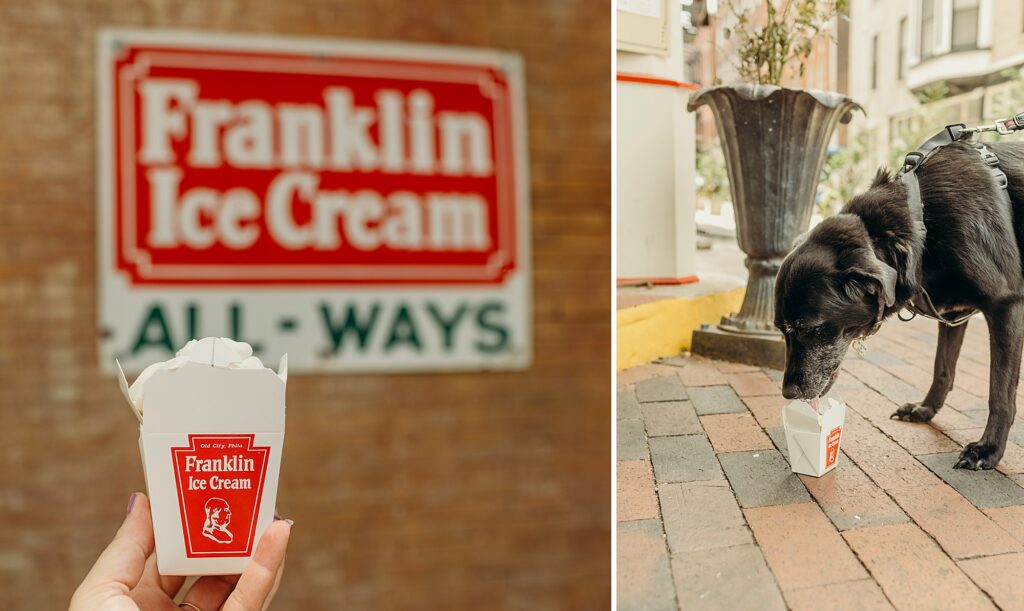 dog enjoying handmade whipped cream from Franklin Fountain in Old City Philadelphia