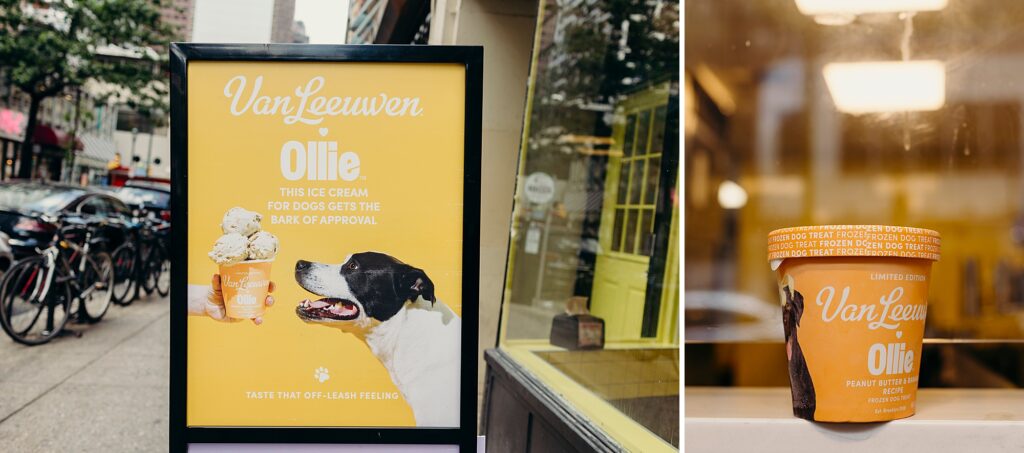 Van Leeuwen x Ollie dog ice cream pint collaboration 