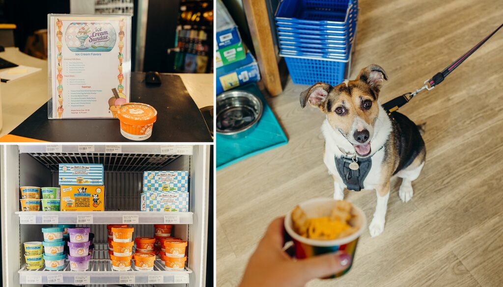 Dog Ice cream sundae with various flavors & toppings in a Manayunk pet store 