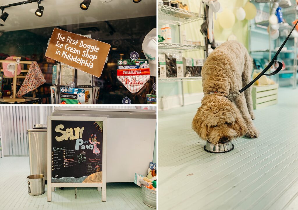 a dog in Rittenhouse Square eating a dog ice cream sundae at Salty Paws