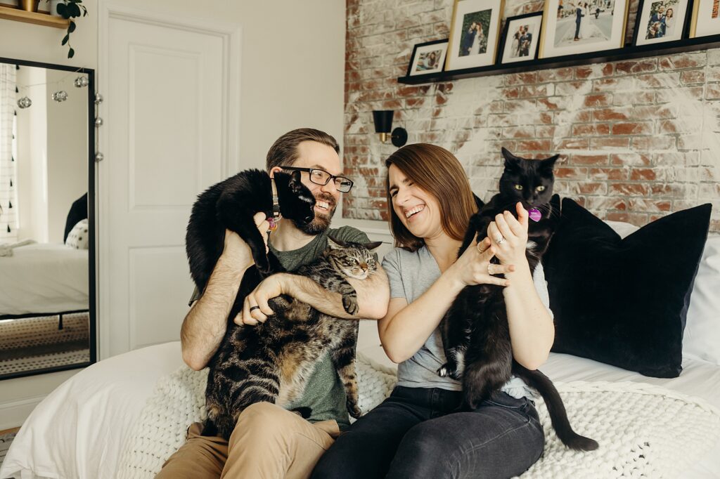 lifestyle pet photoshoot in Philadelphia, Pennsylvania with three cats 