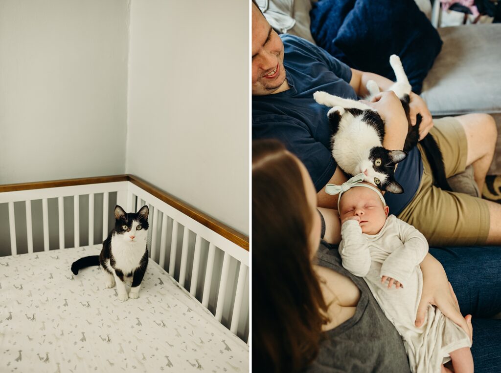 black & white cat in a crib during a lifestyle newborn photo session in Pennsylvania. 