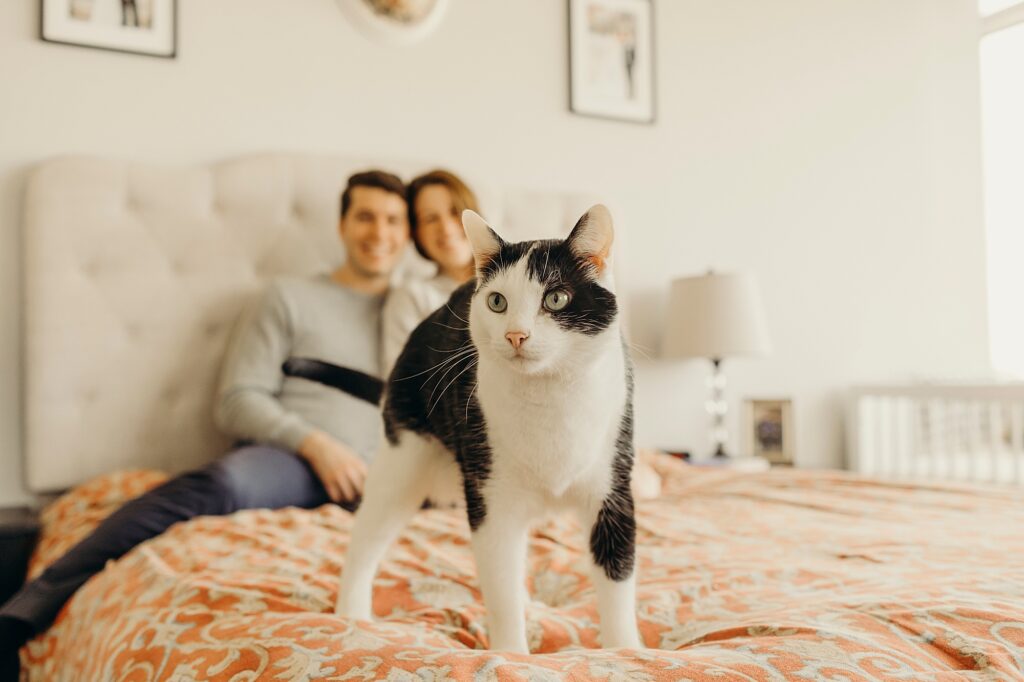 cat during lifestyle pet photo shoot in Center City Philadelphia