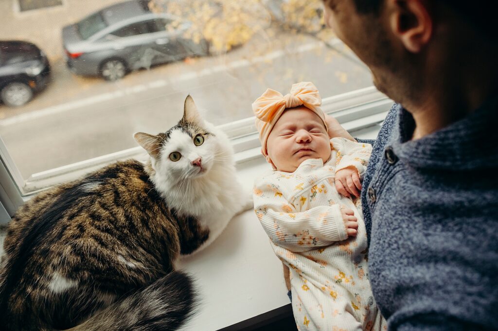 A cat laying in the window in Philadelphia during at-home newborn session. 