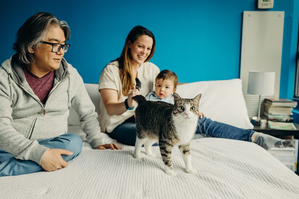 An at-home lifestyle family session in Pennsylvania with their pet cat and toddler. 