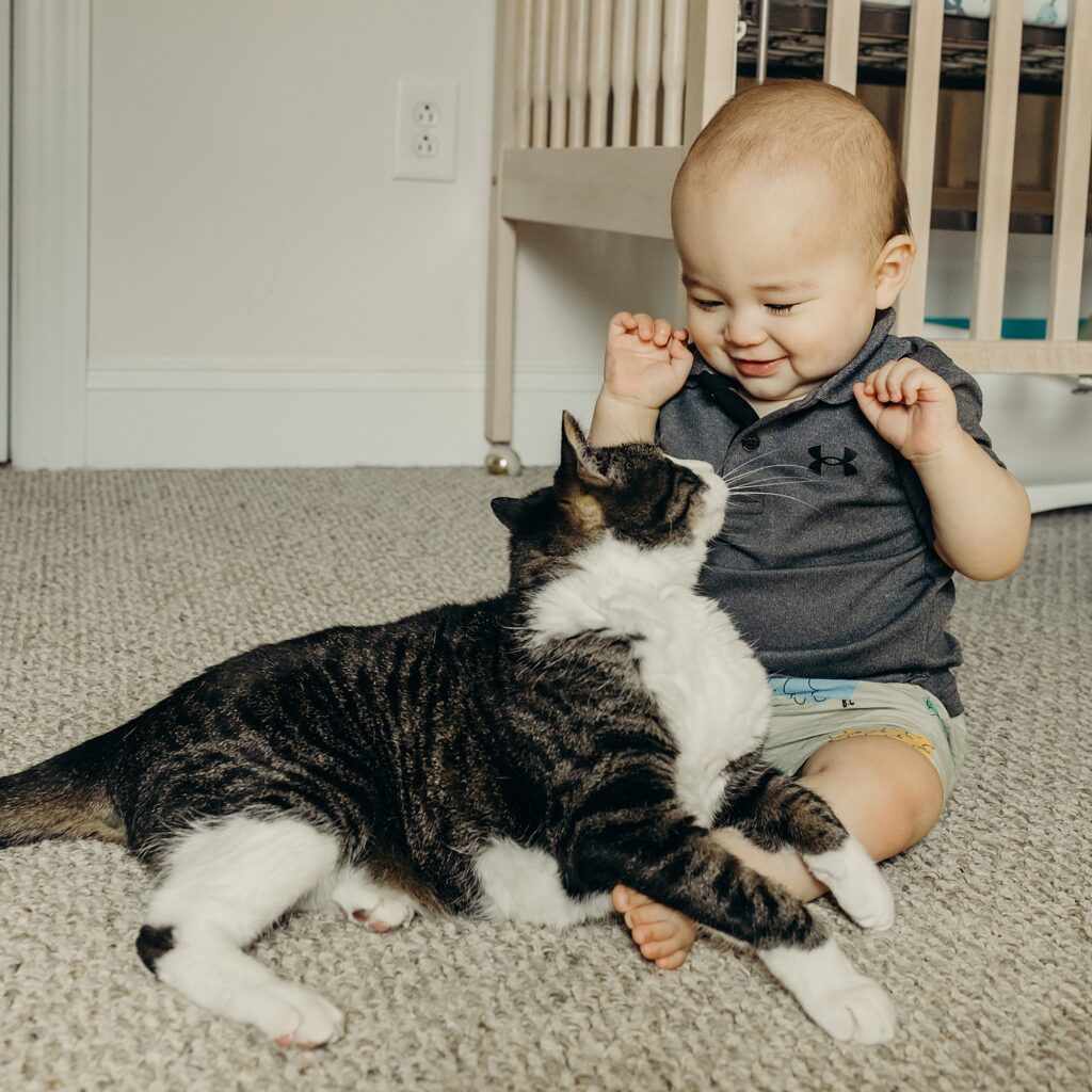 a baby boy cuddling with his pet cat during an at-home lifestyle family session in Pennsylvania. 