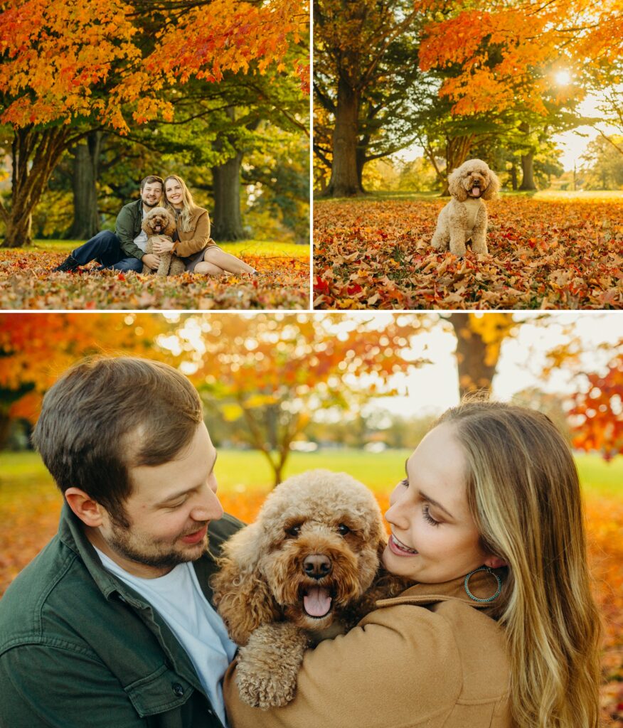 a couple with their golden doodle at the Please Touch Museum park in Philadelphia for a fall pet photoshoot 