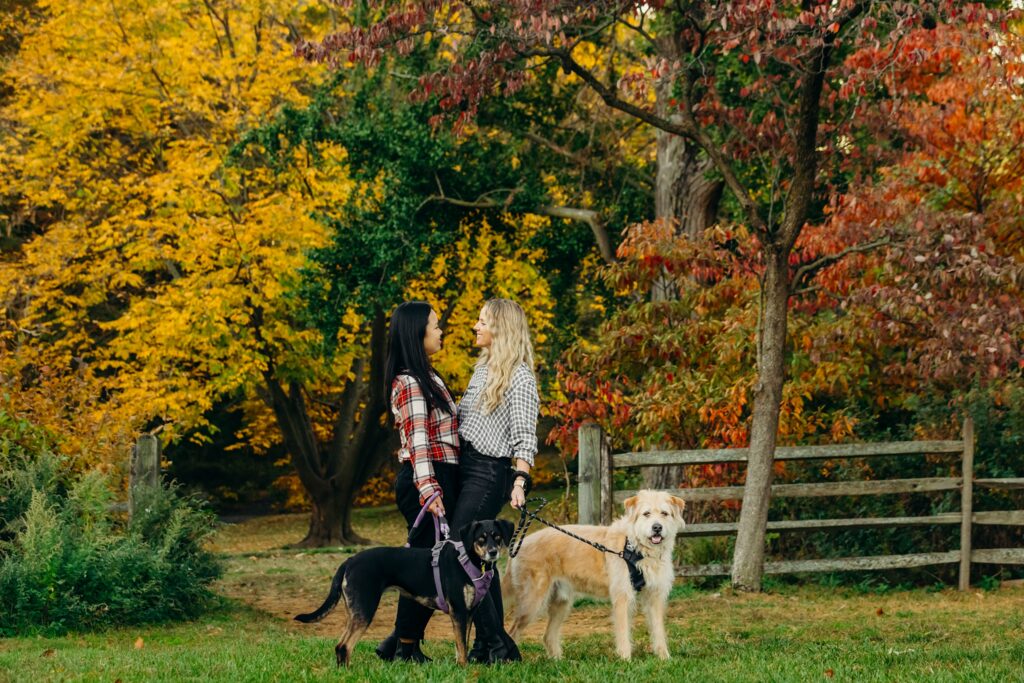 A lesbian couple on a Philadelphia farm with their two dogs during a Fall pet photo session 