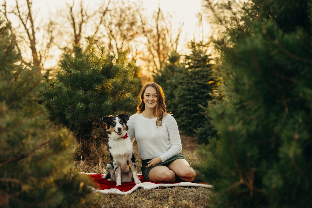 a mini australian shepherd at a Christmas tree farm in Lansdale Pennsylvania with her owner for holiday card photoshoot 