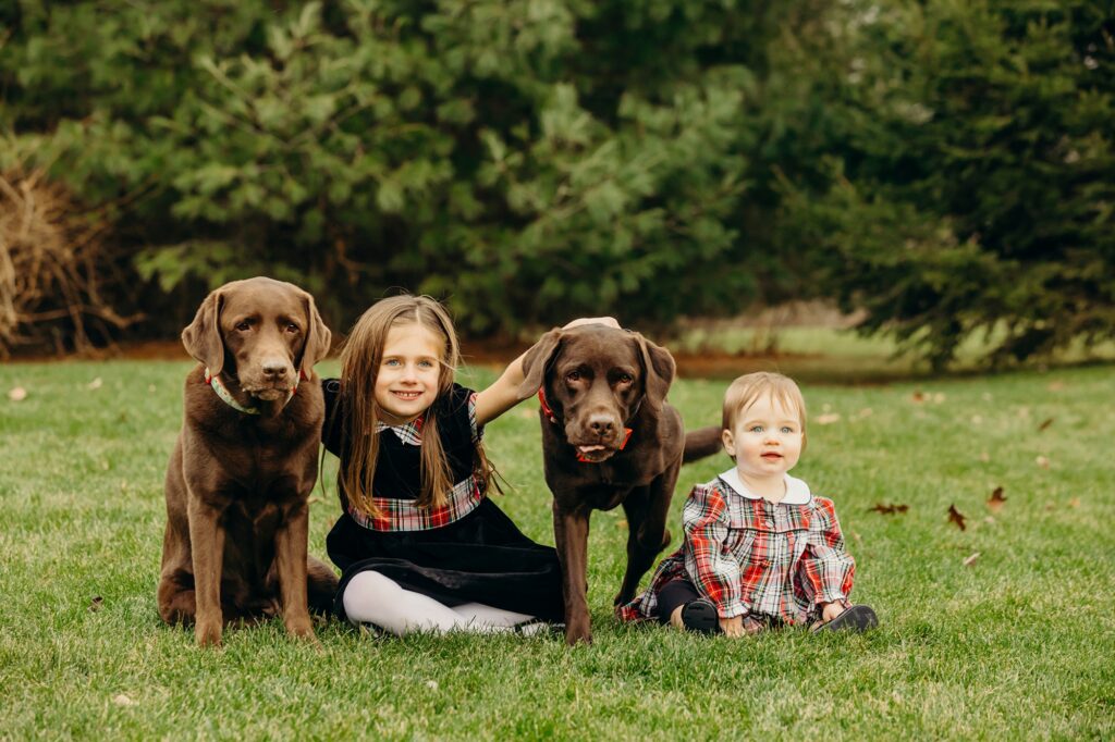 two little girls in christmas dresses with their 2 chocolate lab dogs for a Family photoshoot in December in Philadelphia 