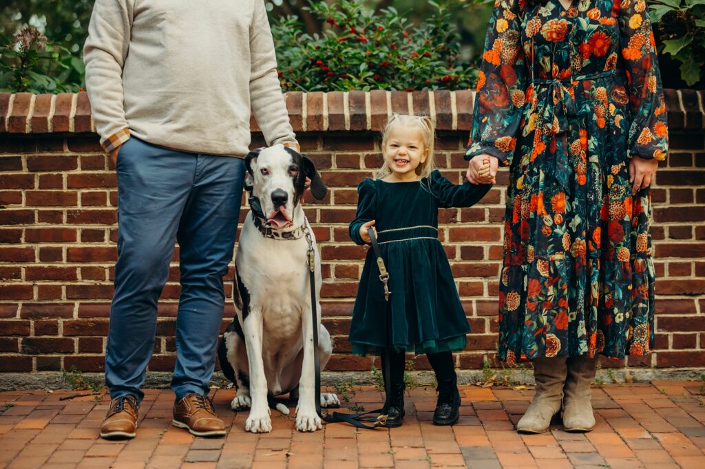 a little girl with her family and pet great dane in Old City Philadelphia 