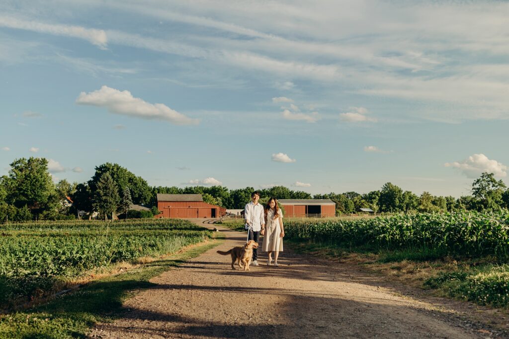 Philadelphia couple walking their golden retriever puppy through a farm during summer photoshoot