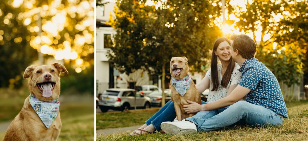 a couple with their pet dog at a Philadelphia park during a pet photoshoot