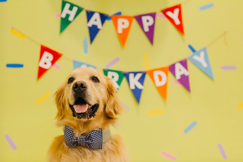 golden retriever at his birthday party in front of a "happy Barkday" banner 