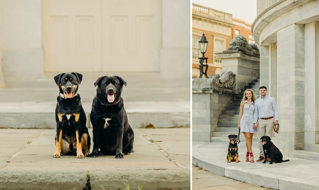 a Philadelphia couple with their two dogs at Merchant's Exchange during their Center City pet photoshoot 